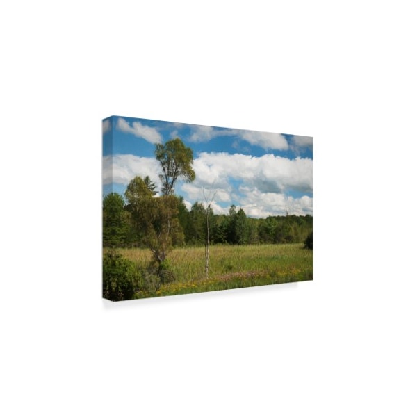 Anthony Paladino 'Spring Afternoon In Meadow' Canvas Art,22x32